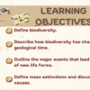 Biodiversity Change Over Geologic Time - Image 2